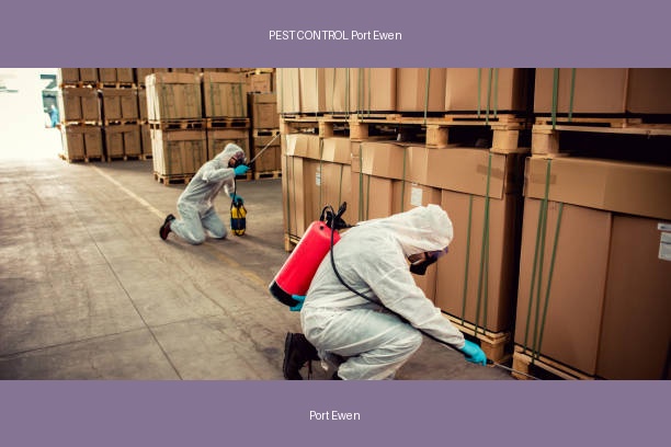 PEST CONTROL Port Ewen